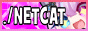 netcat